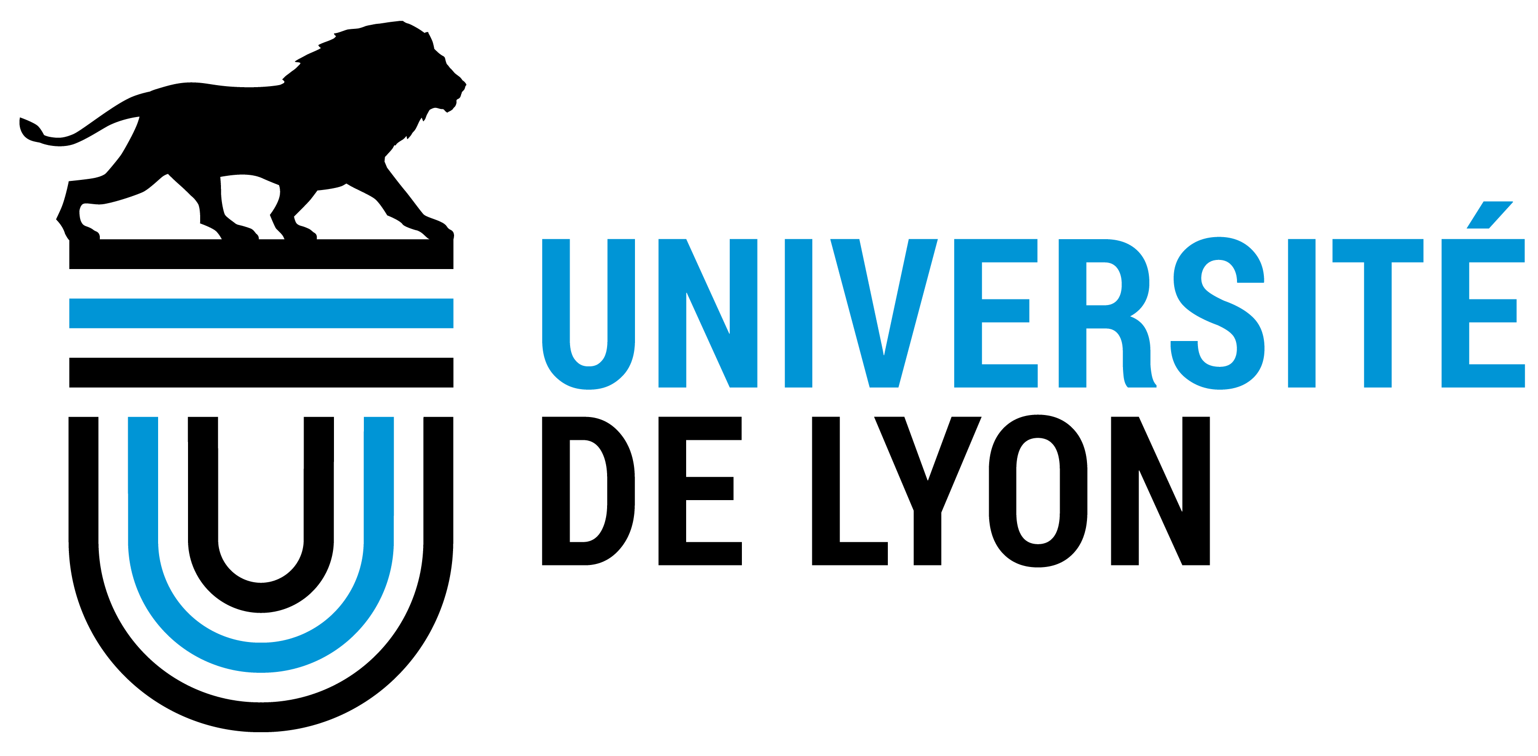 Logo_Université_de_Lyon.png