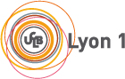 lyon1.jpg