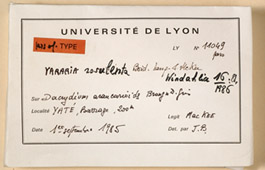 boidin enveloppe.jpg