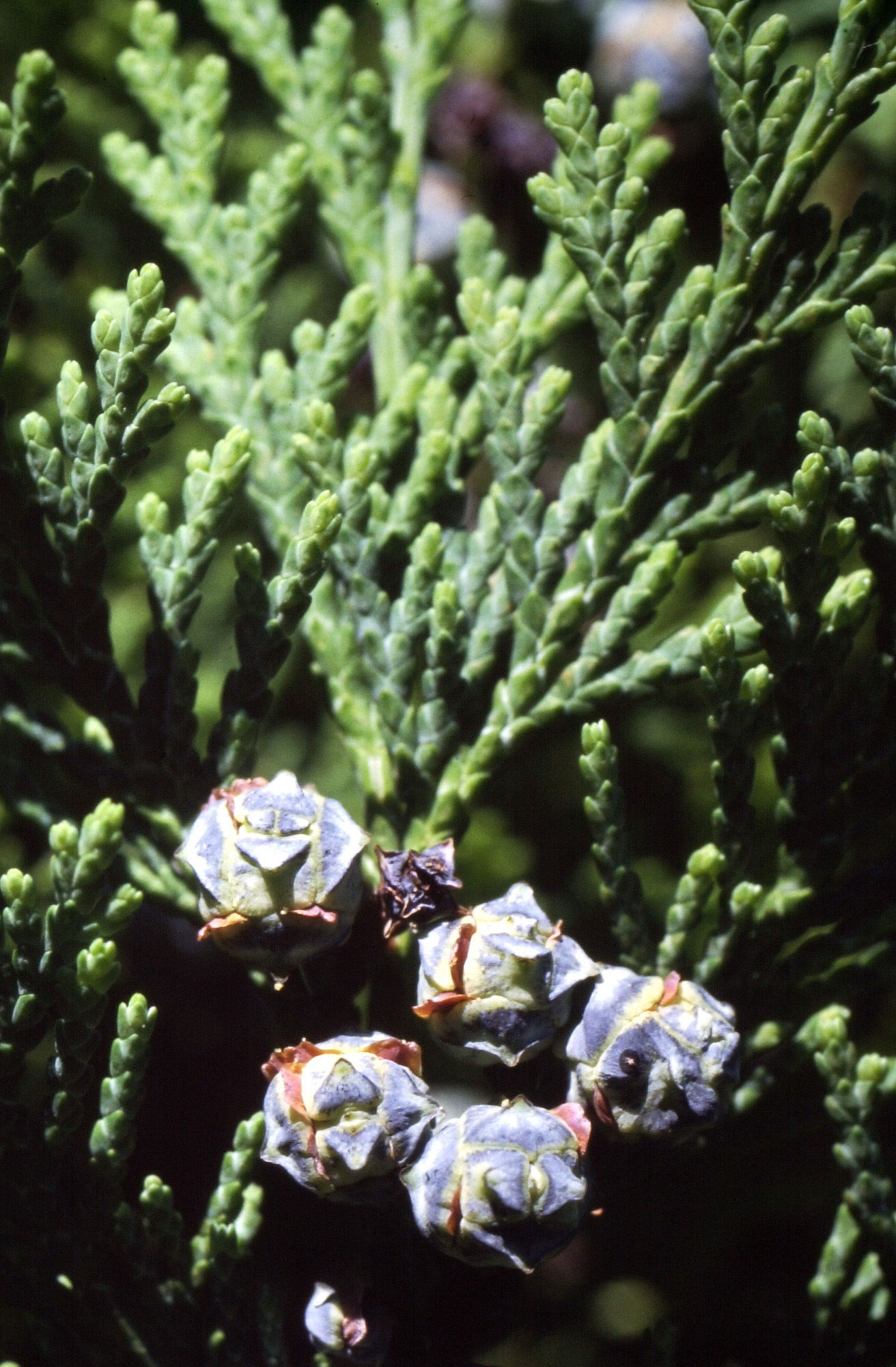 035 e.jpg