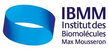 logo-IBMM.gif