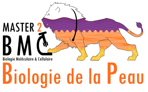 Logo Parcours Biologie de la peau.png