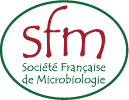 sfm_logo.jpg