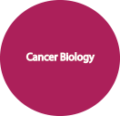 cancer biology.png