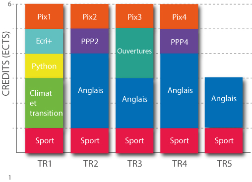 transversale-schema_2022.jpg